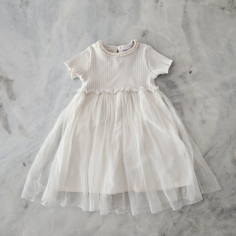 Zara Tulle Dress